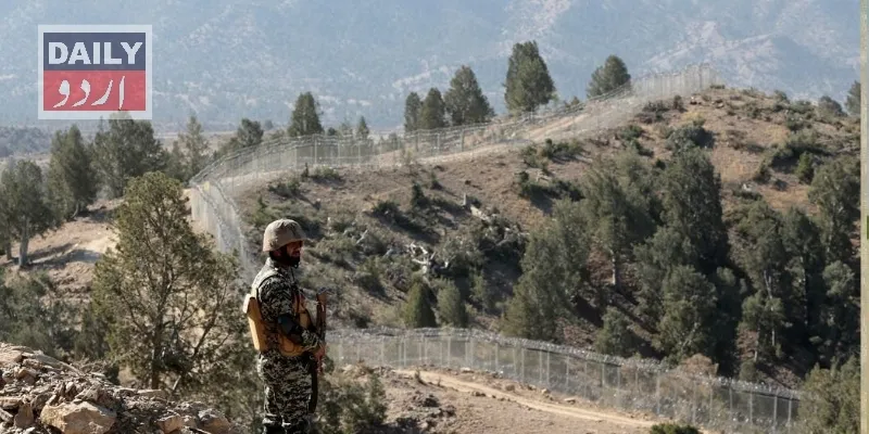 دہشتگردی