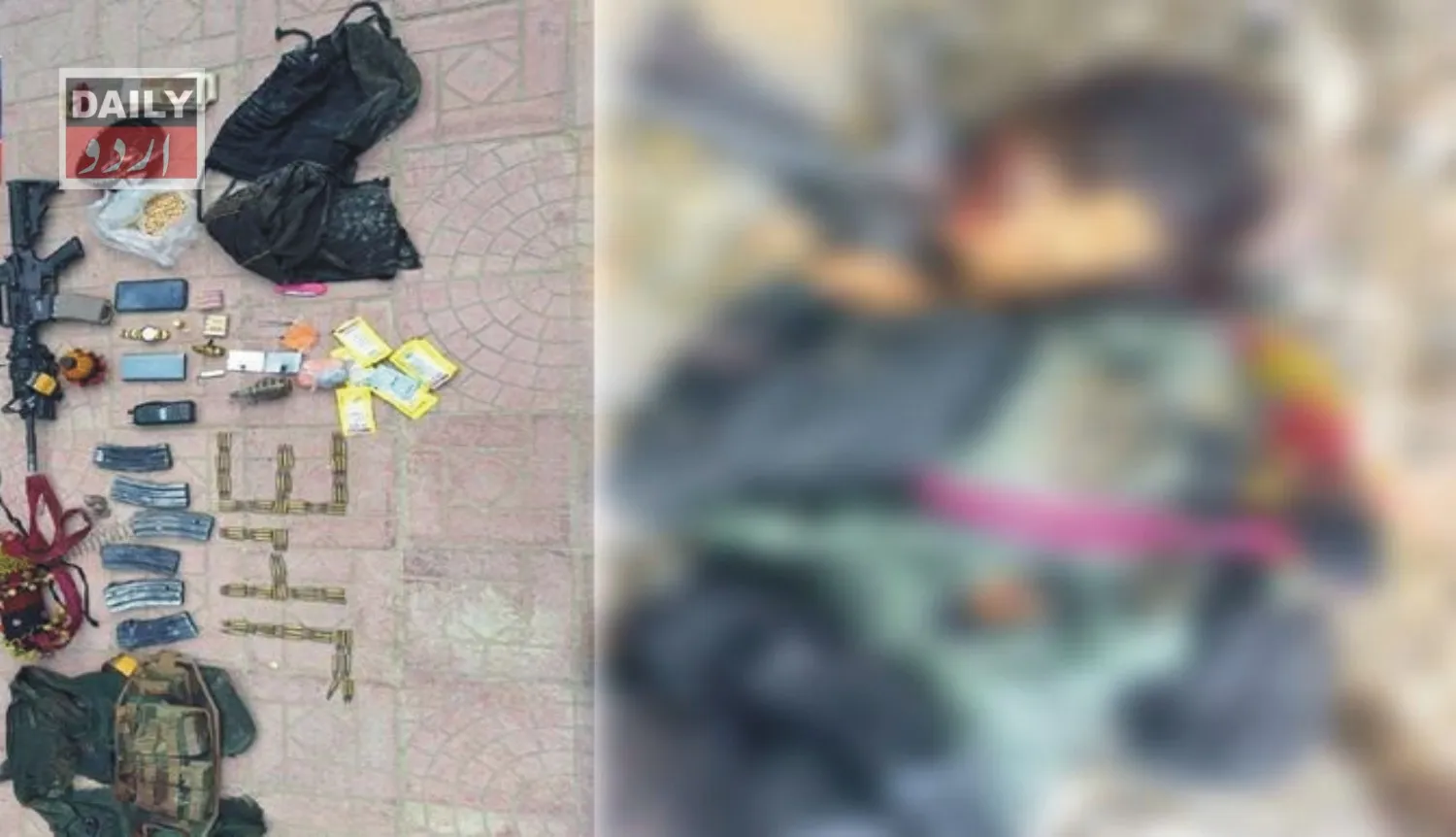 دہشتگردی