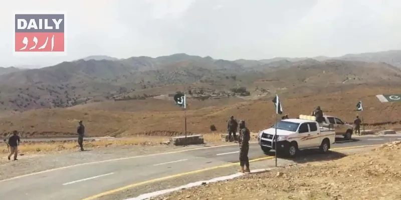دہشتگردی