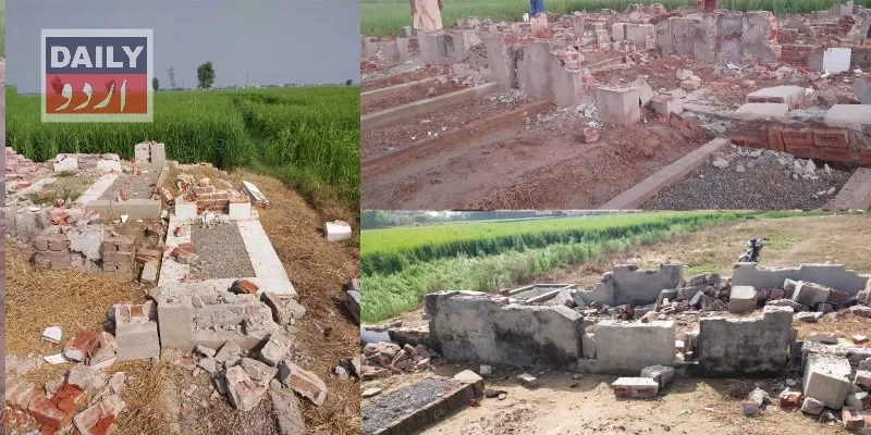 کرائمز