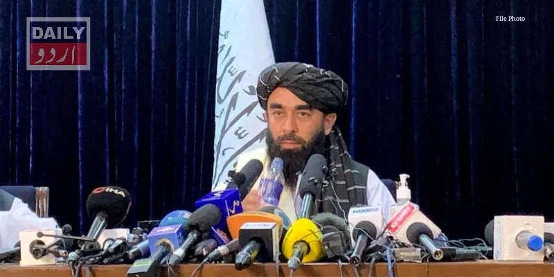 سیاست