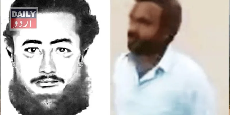 دہشتگردی