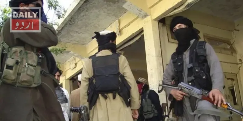 دہشتگردی