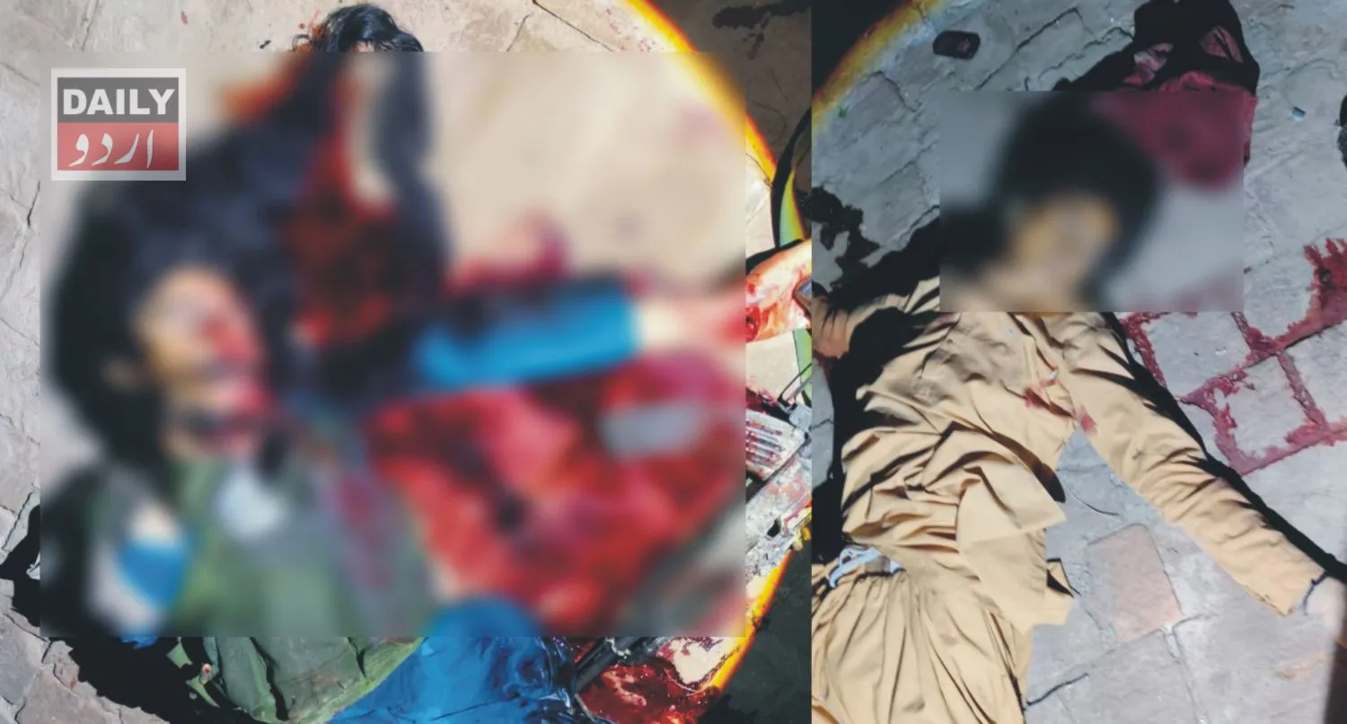 دہشتگردی