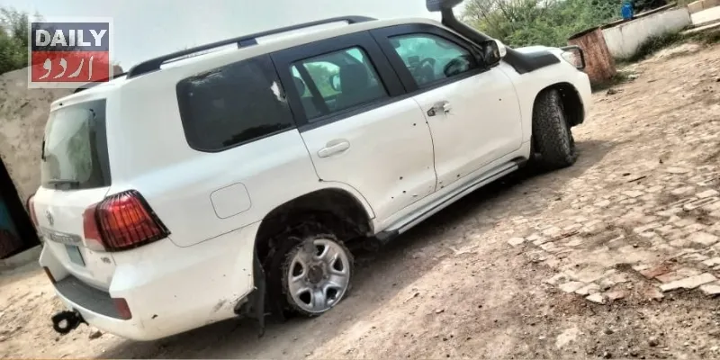 دہشتگردی