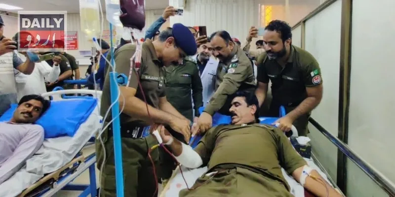 دہشتگردی