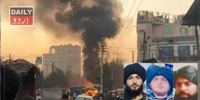 دہشتگردی