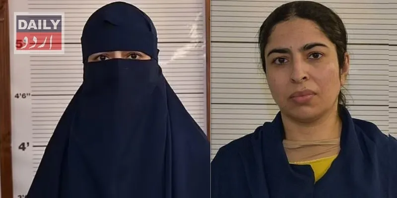 دہشتگردی