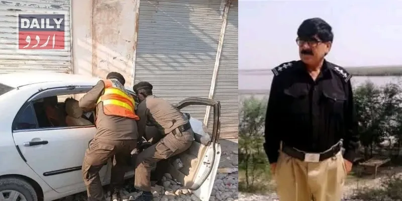 دہشتگردی