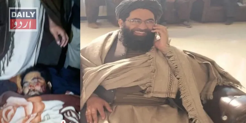 سیاست