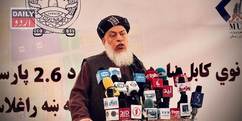 سیاست