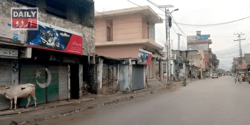 کاروبار
