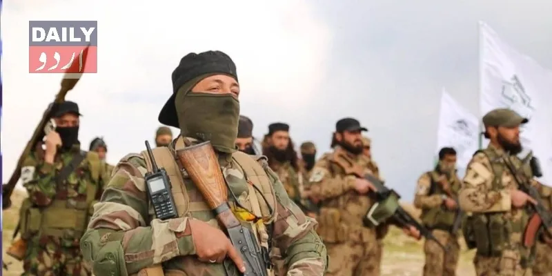 دہشتگردی
