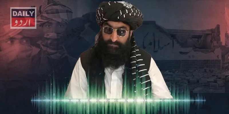 دہشتگردی