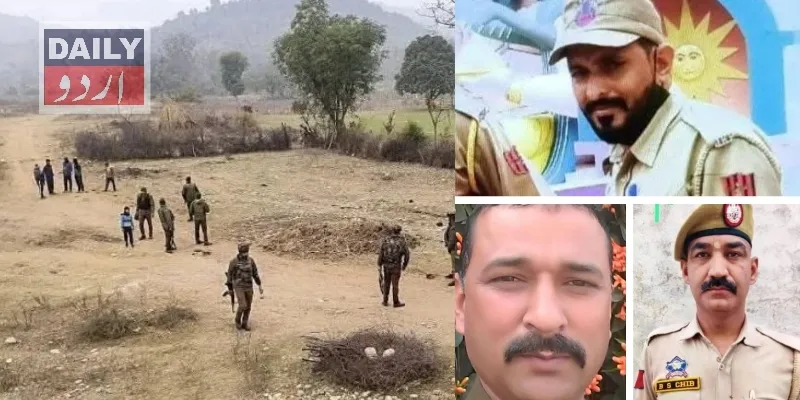 دہشتگردی