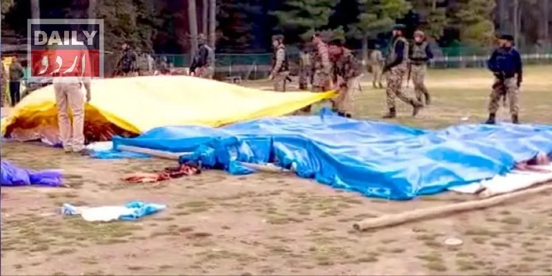 دہشتگردی