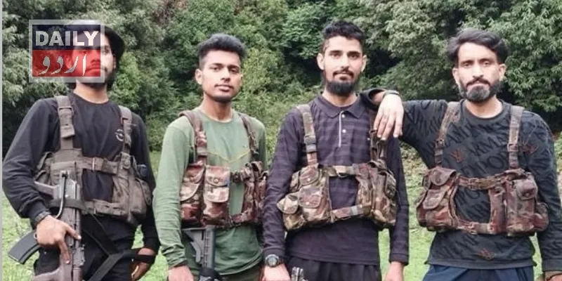 دہشتگردی