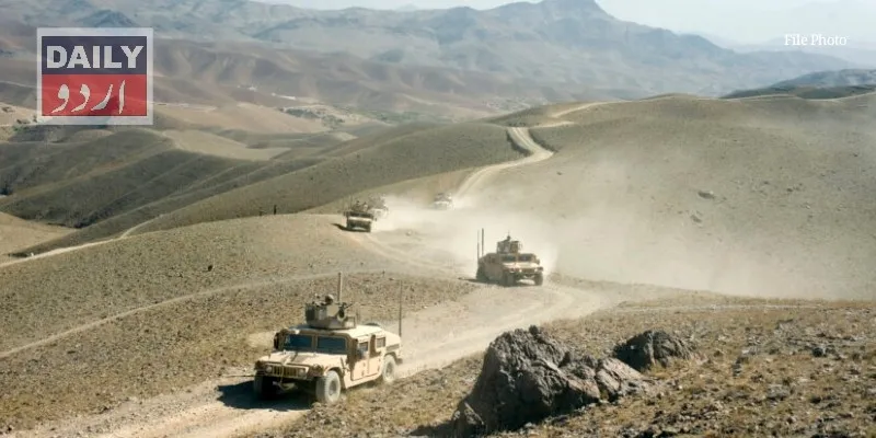 دہشتگردی