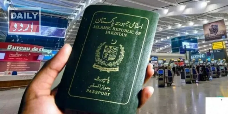 سیاست